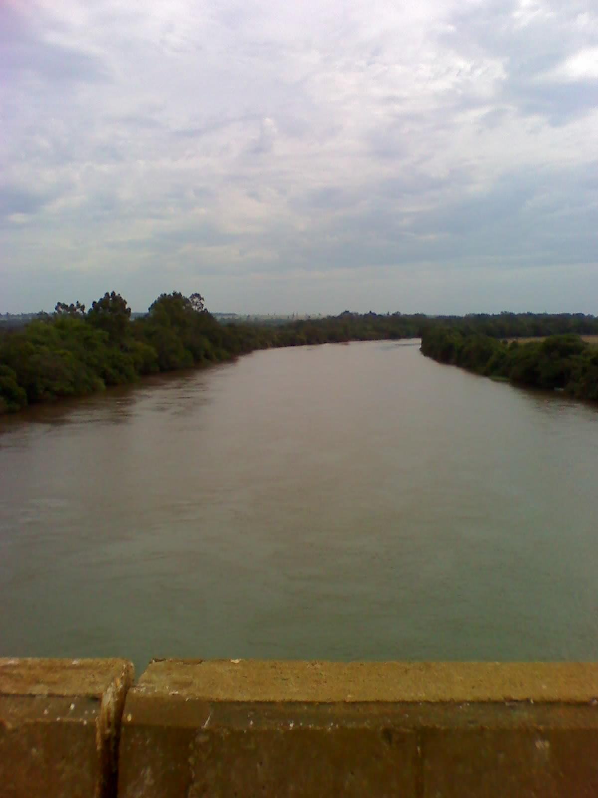 Rio Ivinhema visto do alto de uma ponte, com margens cobertas de vegetação.