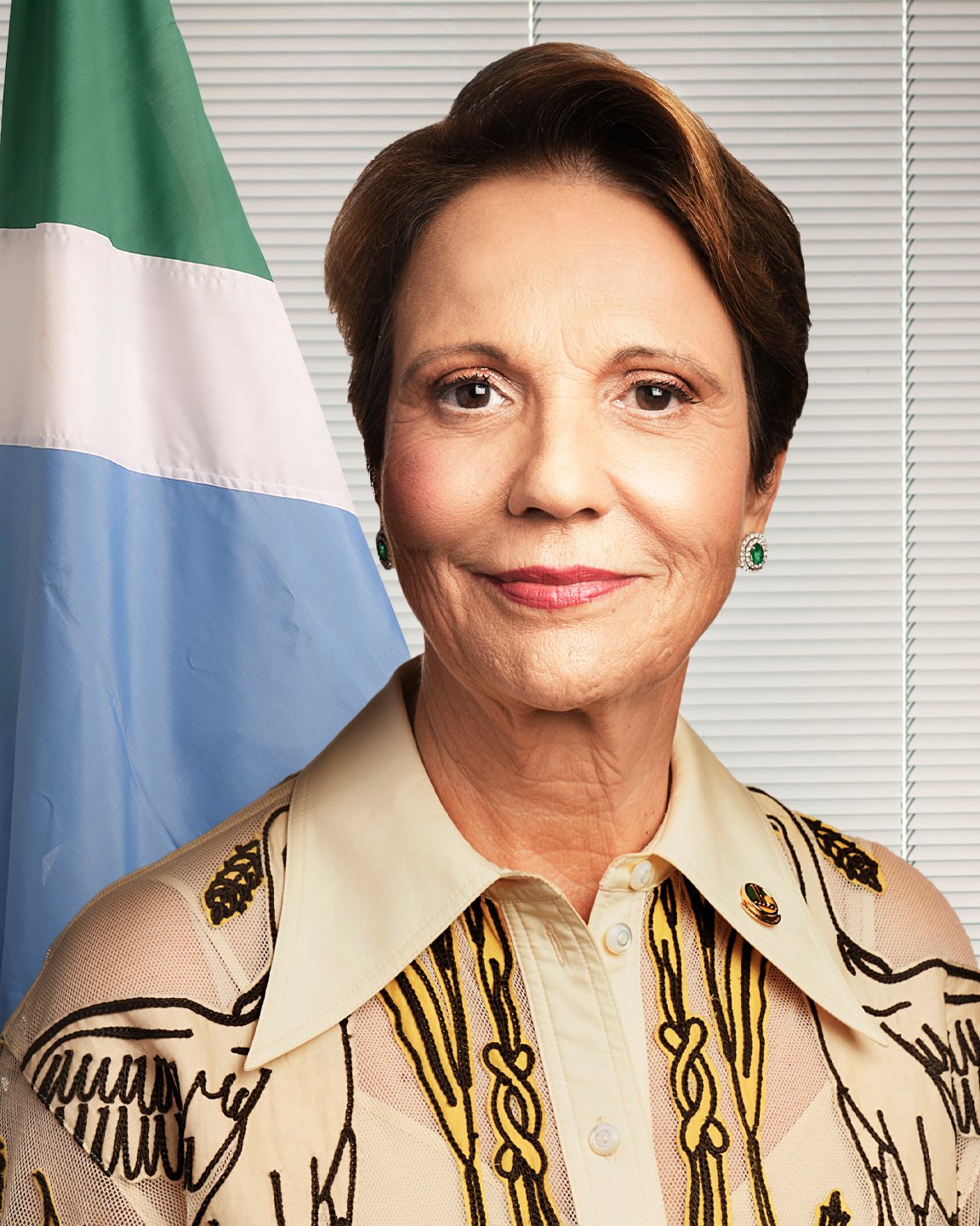 Retrato oficial da senadora Tereza Cristina diante da bandeira de Mato Grosso do Sul.